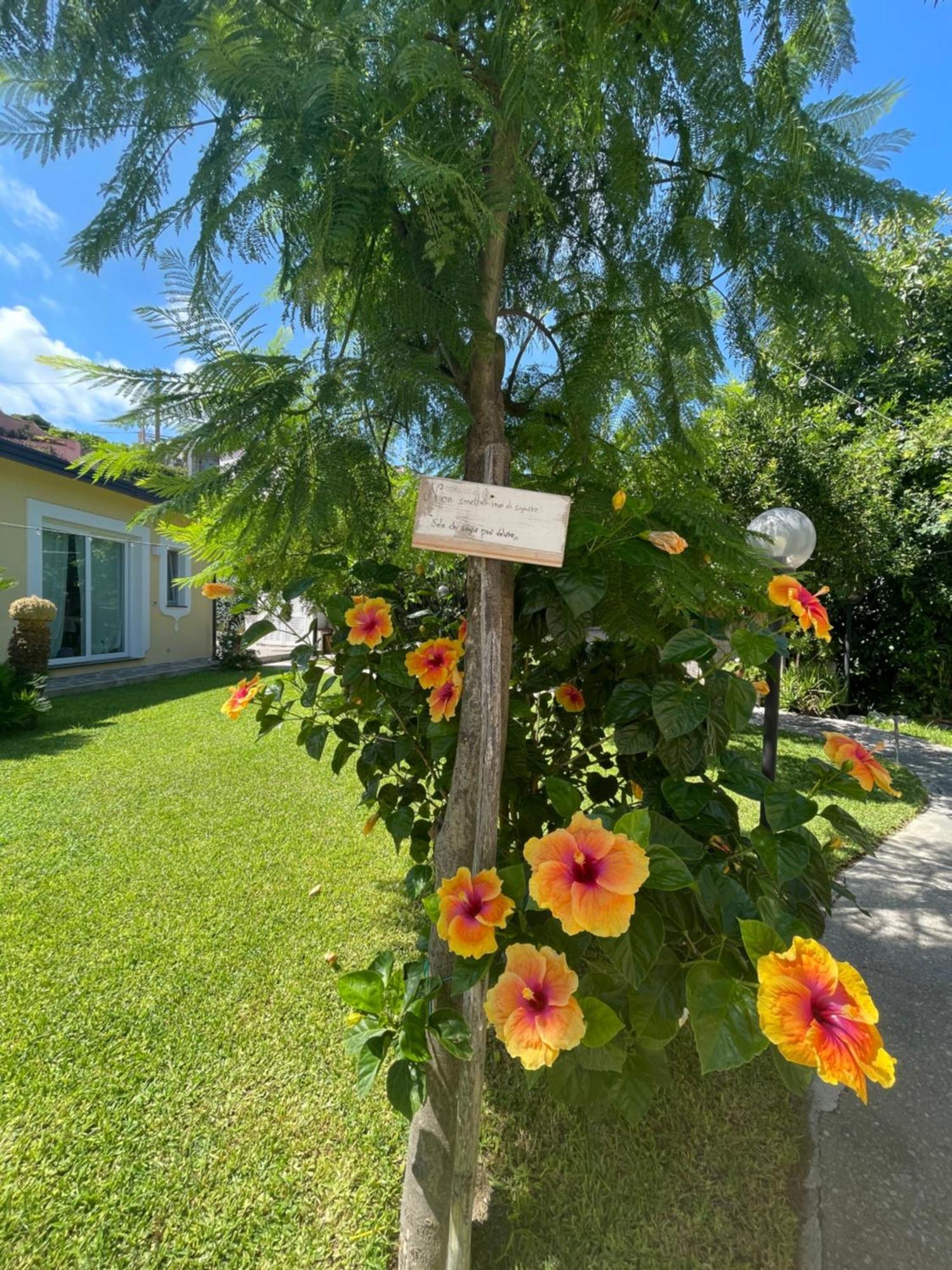 Garden Apartments Ischia Super Centrale Forio di Ischia 外观 照片